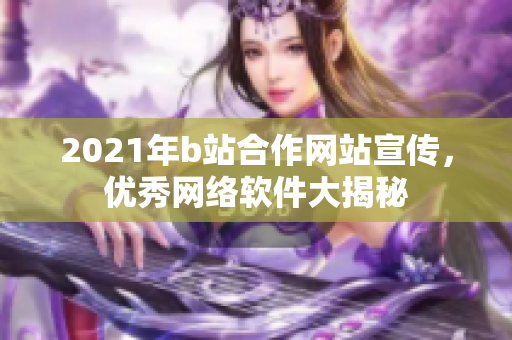 2021年b站合作网站宣传，优秀网络软件大揭秘