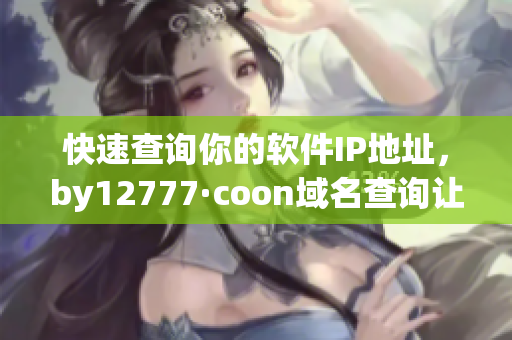 快速查询你的软件IP地址，by12777·coon域名查询让你更方便