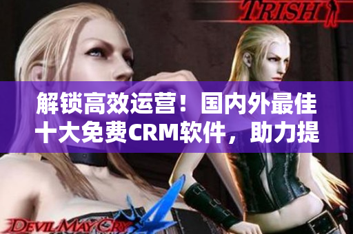 解锁高效运营！国内外最佳十大免费CRM软件，助力提升企业效率