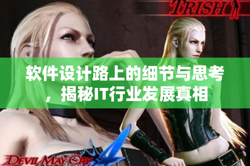 软件设计路上的细节与思考，揭秘IT行业发展真相
