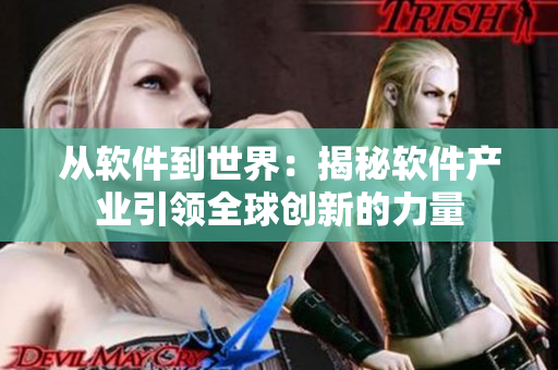 从软件到世界：揭秘软件产业引领全球创新的力量