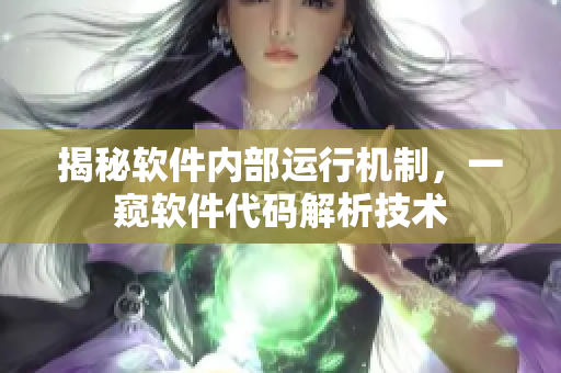 揭秘软件内部运行机制，一窥软件代码解析技术