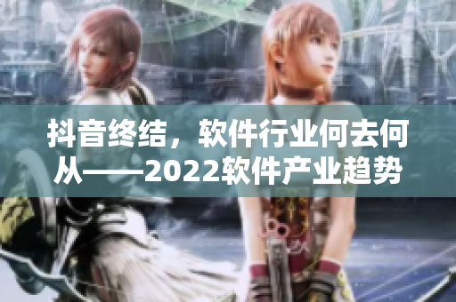 抖音终结，软件行业何去何从——2022软件产业趋势分析