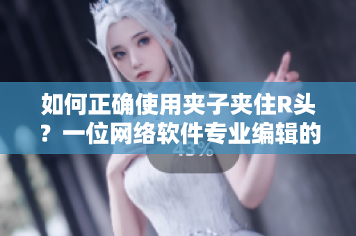 如何正确使用夹子夹住R头？一位网络软件专业编辑的技巧分享！