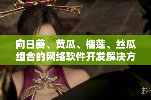 向日葵、黄瓜、榴莲、丝瓜组合的网络软件开发解决方案