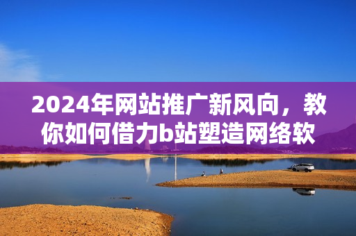 2024年网站推广新风向，教你如何借力b站塑造网络软件品牌