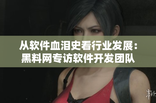 从软件血泪史看行业发展：黑料网专访软件开发团队
