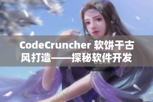 CodeCruncher 软饼干古风打造——探秘软件开发