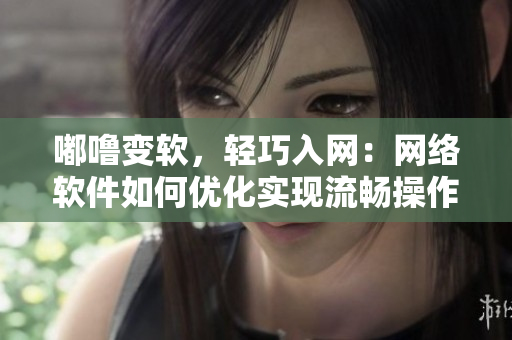 嘟噜变软，轻巧入网：网络软件如何优化实现流畅操作