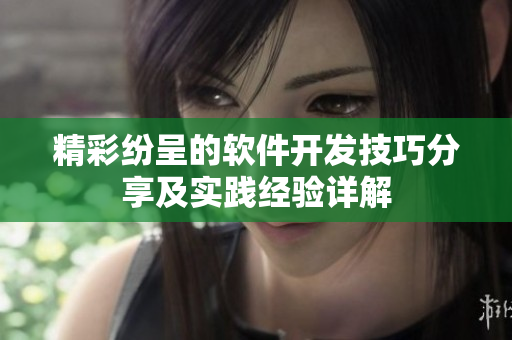 精彩纷呈的软件开发技巧分享及实践经验详解