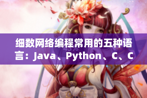 细数网络编程常用的五种语言：Java、Python、C、C++、C#