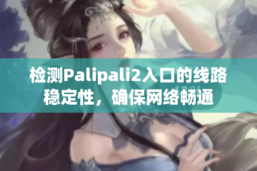 检测Palipali2入口的线路稳定性，确保网络畅通