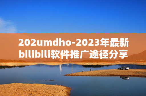 202umdho-2023年最新bilibili软件推广途径分享