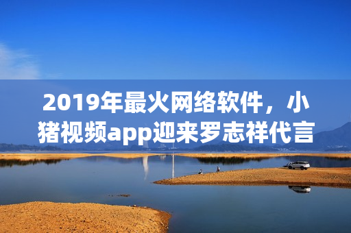 2019年最火网络软件，小猪视频app迎来罗志祥代言