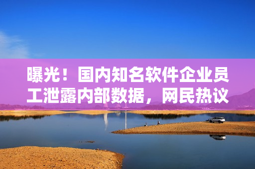 曝光！国内知名软件企业员工泄露内部数据，网民热议