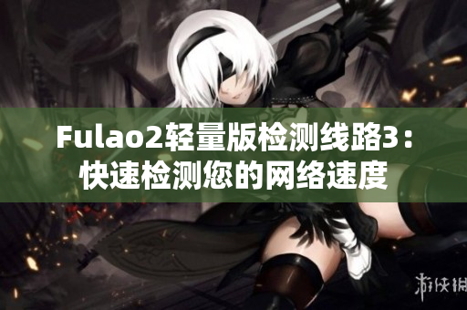 Fulao2轻量版检测线路3：快速检测您的网络速度