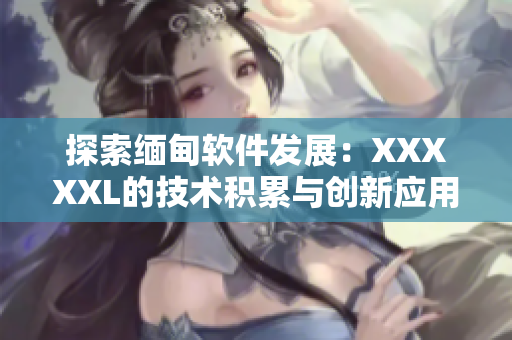 探索缅甸软件发展：XXXXXL的技术积累与创新应用