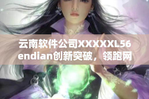 云南软件公司XXXXXL56endian创新突破，领跑网络软件行业