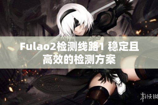 Fulao2检测线路1 稳定且高效的检测方案