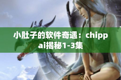 小肚子的软件奇遇：chippai揭秘1-3集