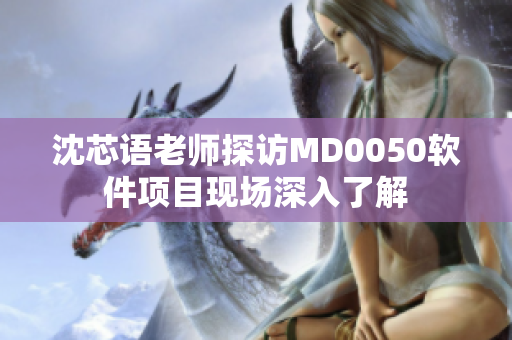 沈芯语老师探访MD0050软件项目现场深入了解