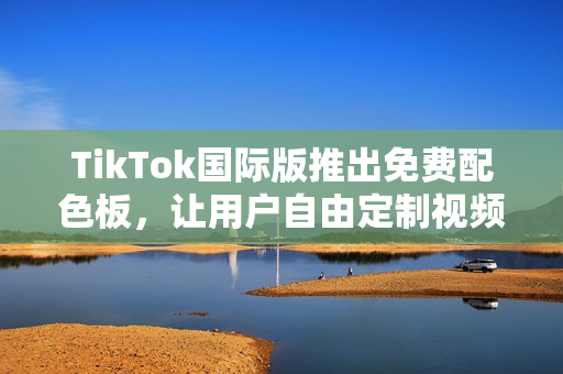 TikTok国际版推出免费配色板，让用户自由定制视频风格