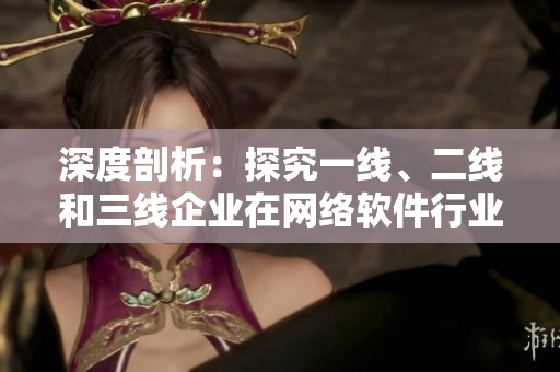 深度剖析：探究一线、二线和三线企业在网络软件行业的分野与竞争