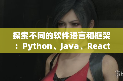 探索不同的软件语言和框架：Python、Java、React、Ruby等