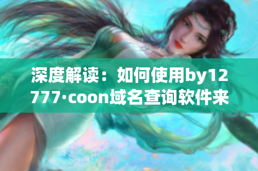 深度解读：如何使用by12777·coon域名查询软件来提高网站安全？