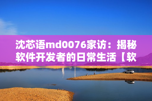 沈芯语md0076家访：揭秘软件开发者的日常生活【软件开发者家访】