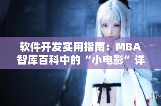 软件开发实用指南：MBA智库百科中的“小电影”详解