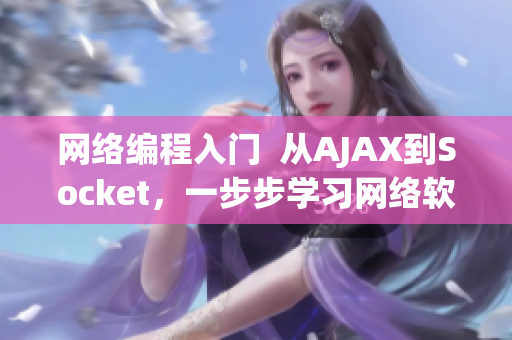 网络编程入门  从AJAX到Socket，一步步学习网络软件开发