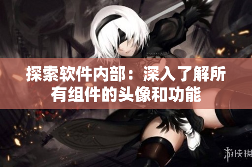 探索软件内部：深入了解所有组件的头像和功能