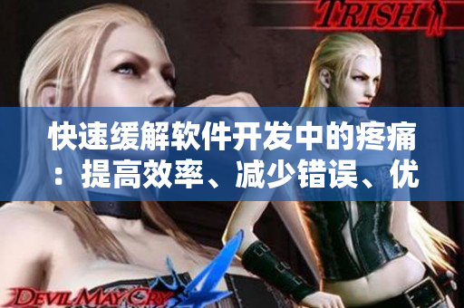 快速缓解软件开发中的疼痛：提高效率、减少错误、优化体验