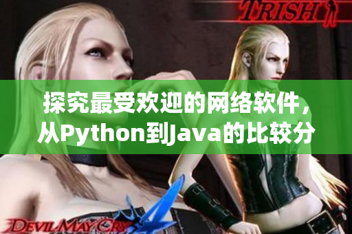 探究最受欢迎的网络软件，从Python到Java的比较分析