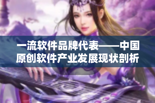 一流软件品牌代表——中国原创软件产业发展现状剖析