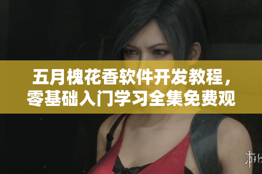 五月槐花香软件开发教程，零基础入门学习全集免费观看