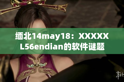 缅北14may18：XXXXXL56endian的软件谜题