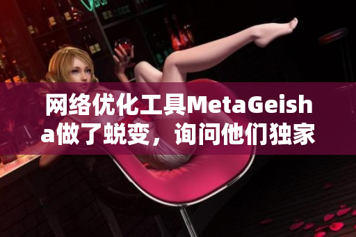 网络优化工具MetaGeisha做了蜕变，询问他们独家的实践方法