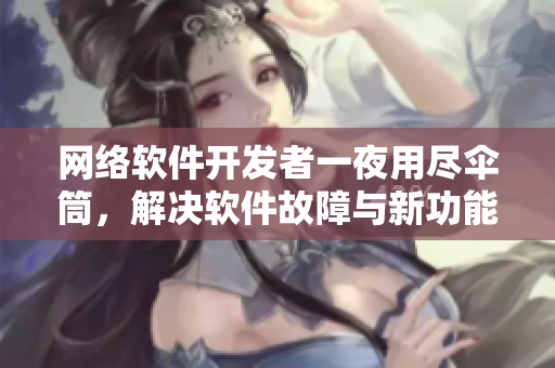 网络软件开发者一夜用尽伞筒，解决软件故障与新功能扩充