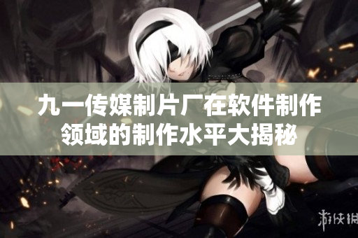 九一传媒制片厂在软件制作领域的制作水平大揭秘