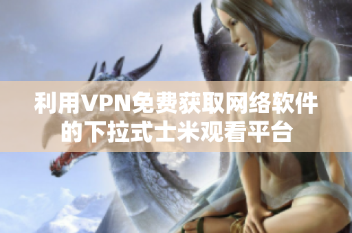 利用VPN免费获取网络软件的下拉式士米观看平台