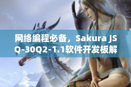 网络编程必备，Sakura JSQ-30Q2-1.1软件开发板解析