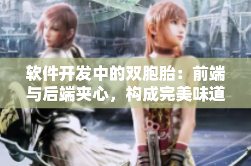 软件开发中的双胞胎：前端与后端夹心，构成完美味道