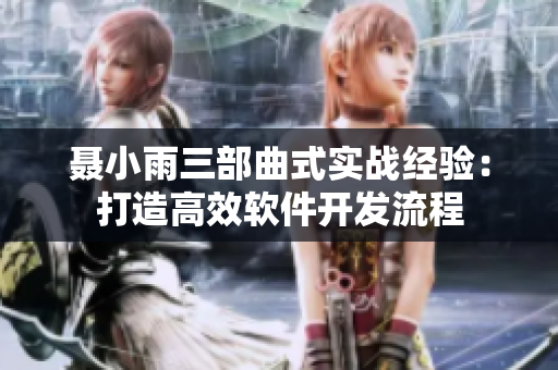 聂小雨三部曲式实战经验：打造高效软件开发流程
