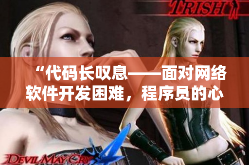 “代码长叹息——面对网络软件开发困难，程序员的心路历程”