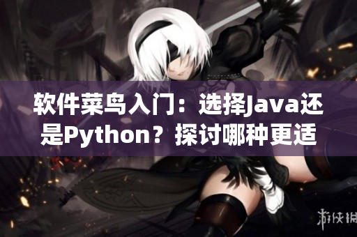 软件菜鸟入门：选择Java还是Python？探讨哪种更适合初学者