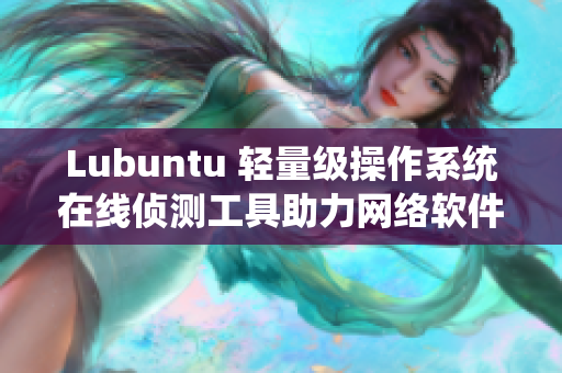 Lubuntu 轻量级操作系统在线侦测工具助力网络软件开发