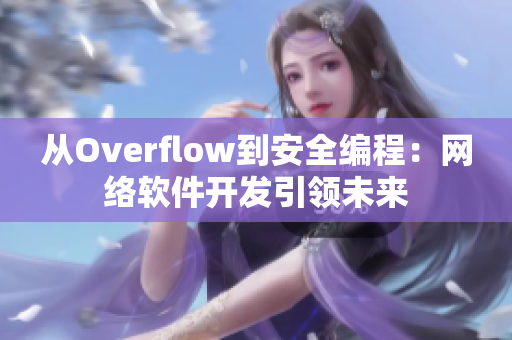 从Overflow到安全编程：网络软件开发引领未来