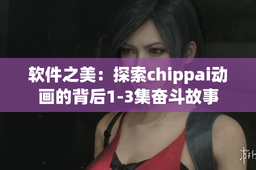 软件之美：探索chippai动画的背后1-3集奋斗故事